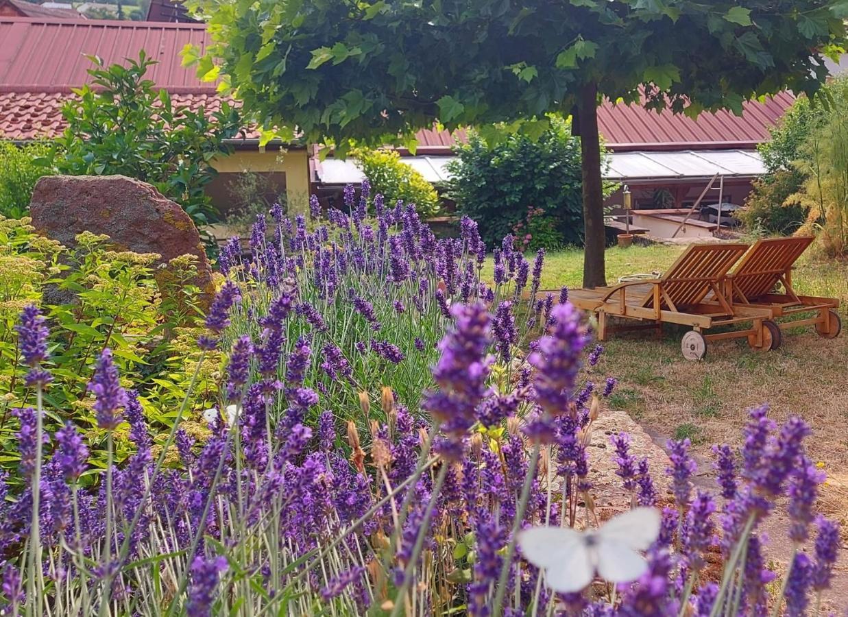 Gaestehaus Roehm Ilbesheim bei Landau in der Pfalz Zewnętrze zdjęcie